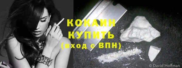 прущие грибы Майский