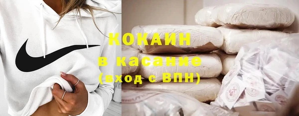 прущие грибы Майский