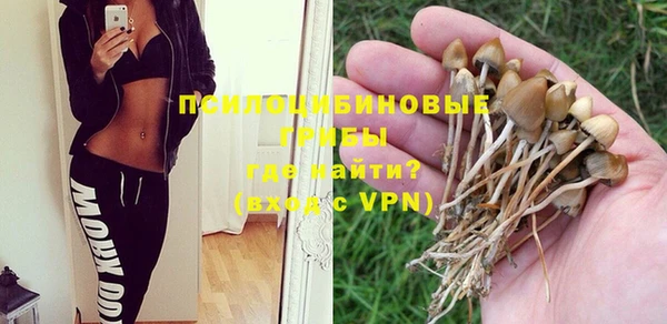 прущие грибы Майский