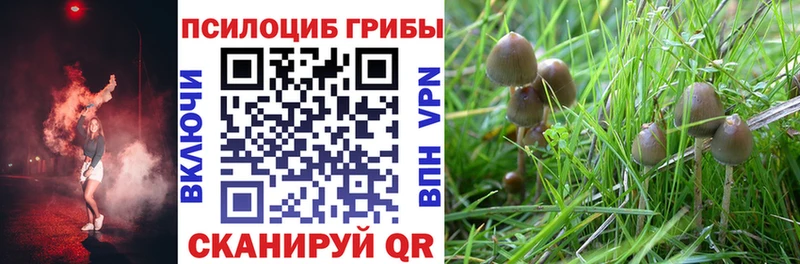Псилоцибиновые грибы Cubensis  Троицк 