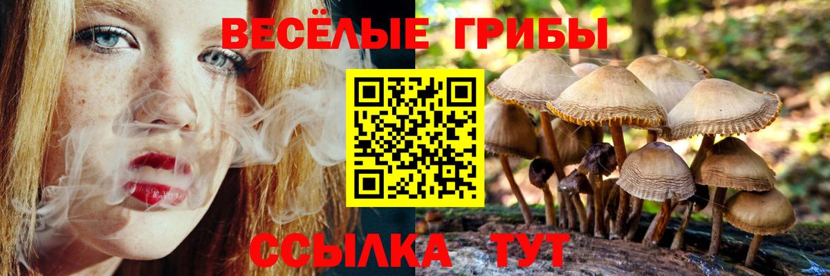 Троицк  Псилоцибиновые грибы Cubensis  Вход с VPN 